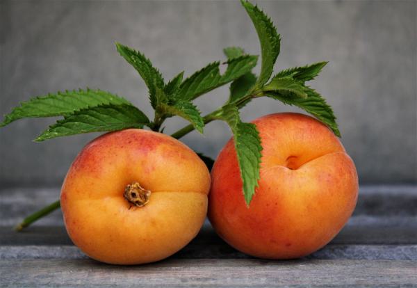 Aprikose-trifft-Minze-Marmelade